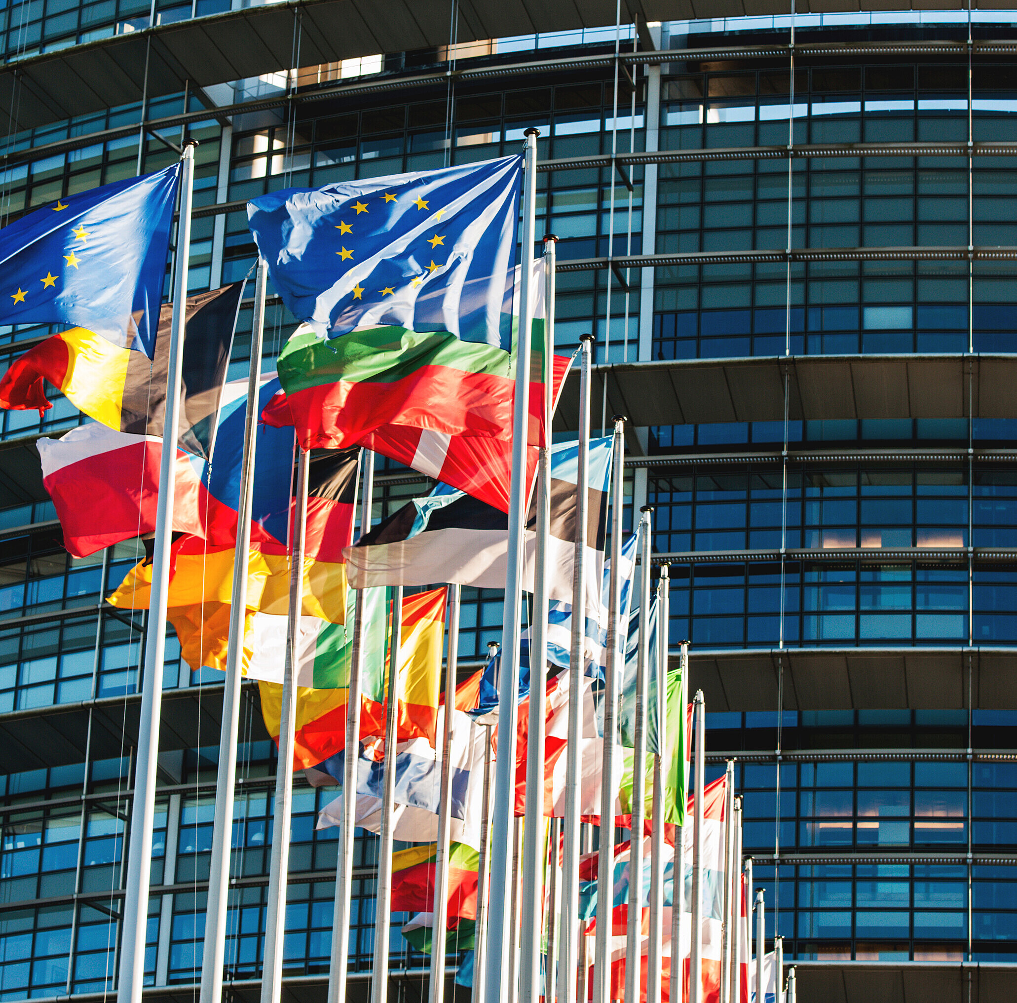 Kulturelle Unterschiede