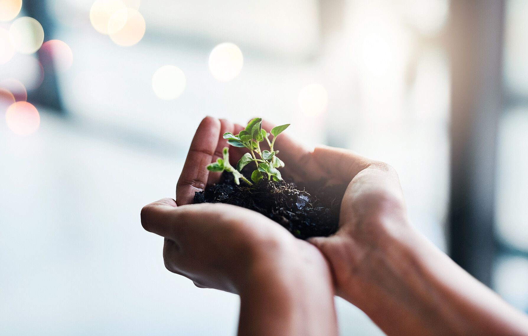 Kündigungsschutz bei Mutterschaft