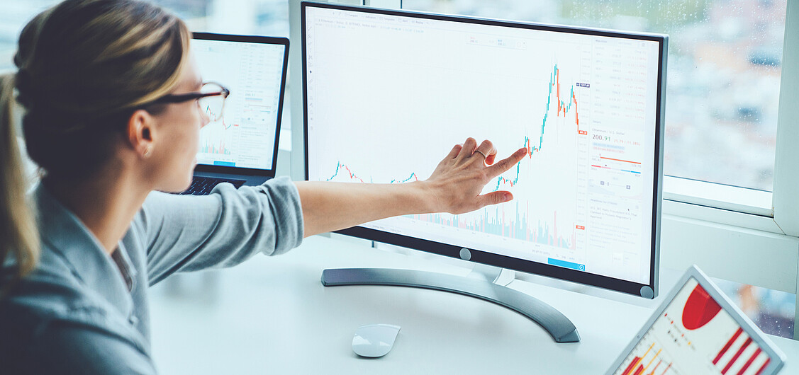 DuPont-Kennzahlensystem