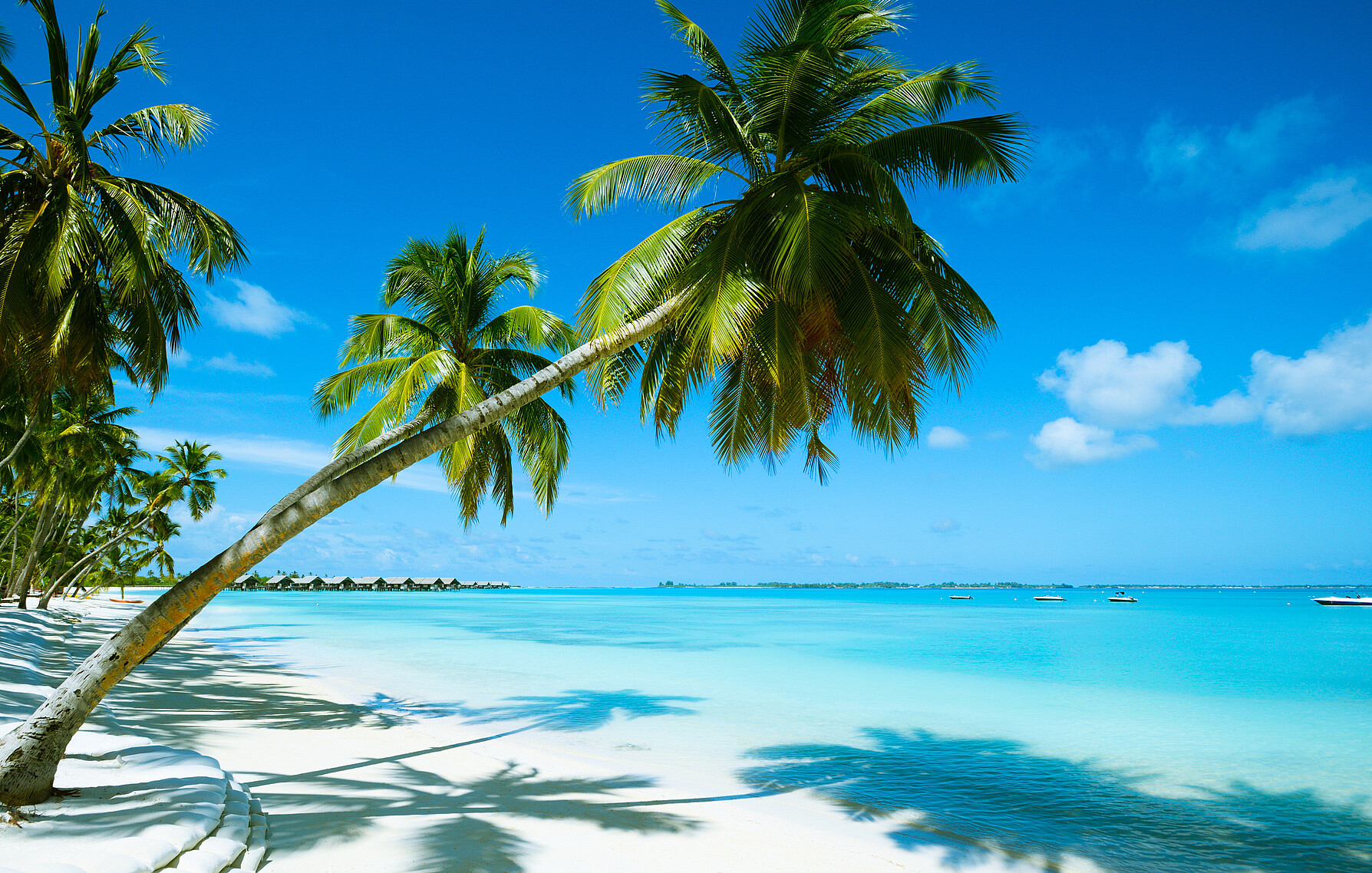 Prise de vacances Prise de vacances