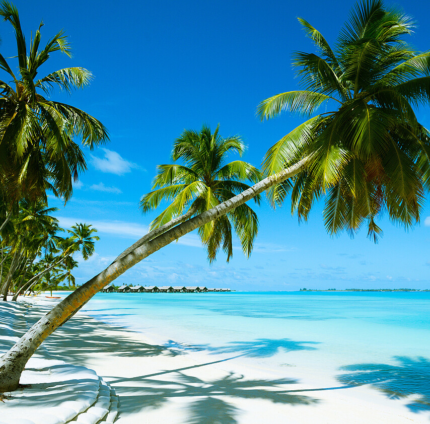 Droit aux vacances: Ce qu’il faut savoir