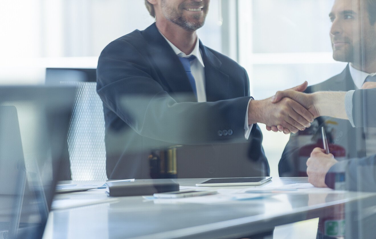 Software-Entwicklungsvertrag