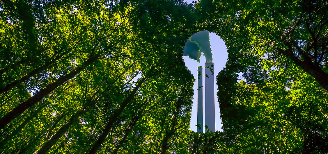 Greenwashing Greenwashing