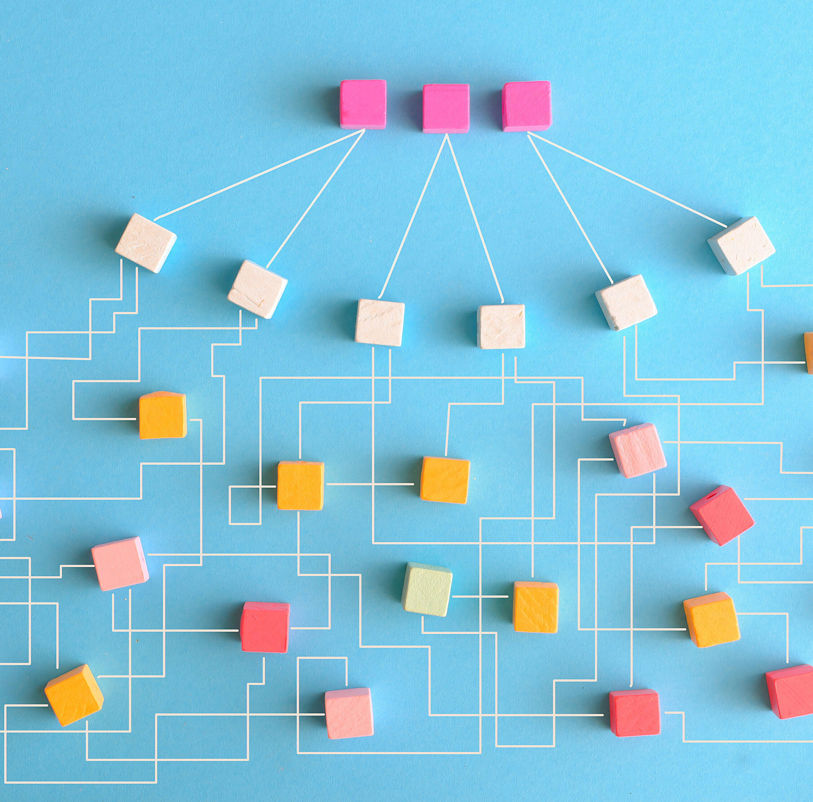 Organigramme