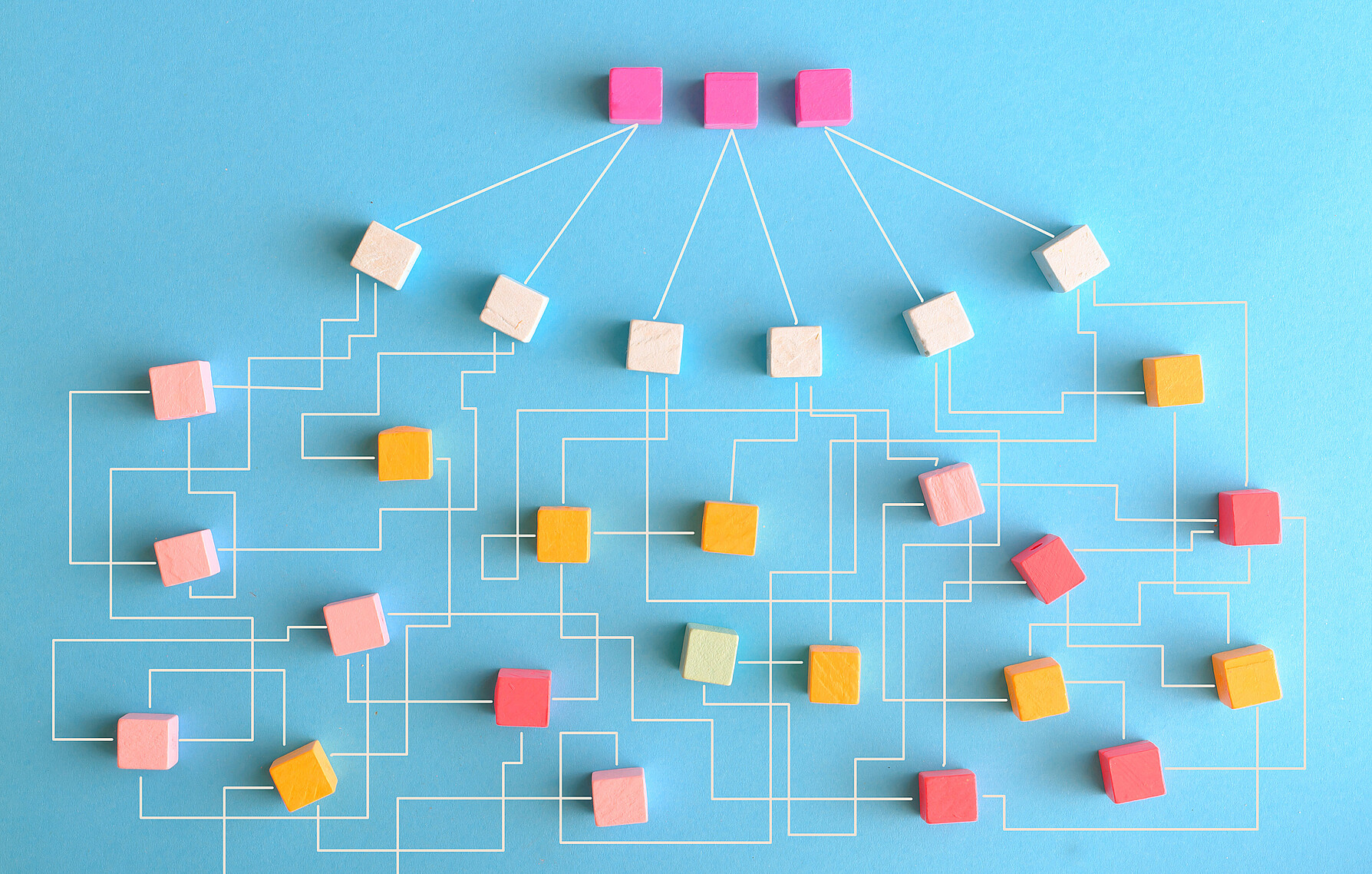Organigramme Organigramme