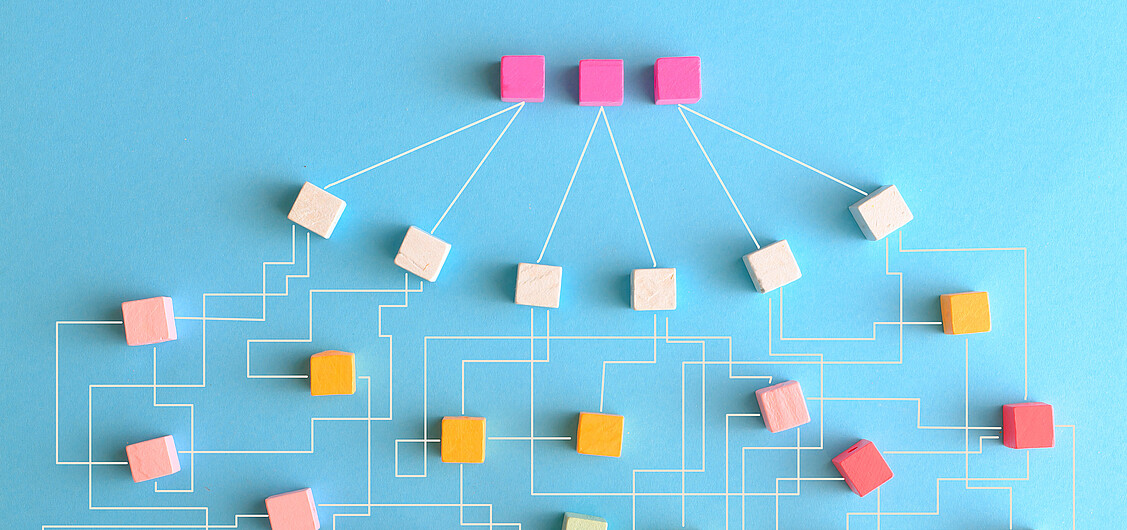 Organigramme Organigramme