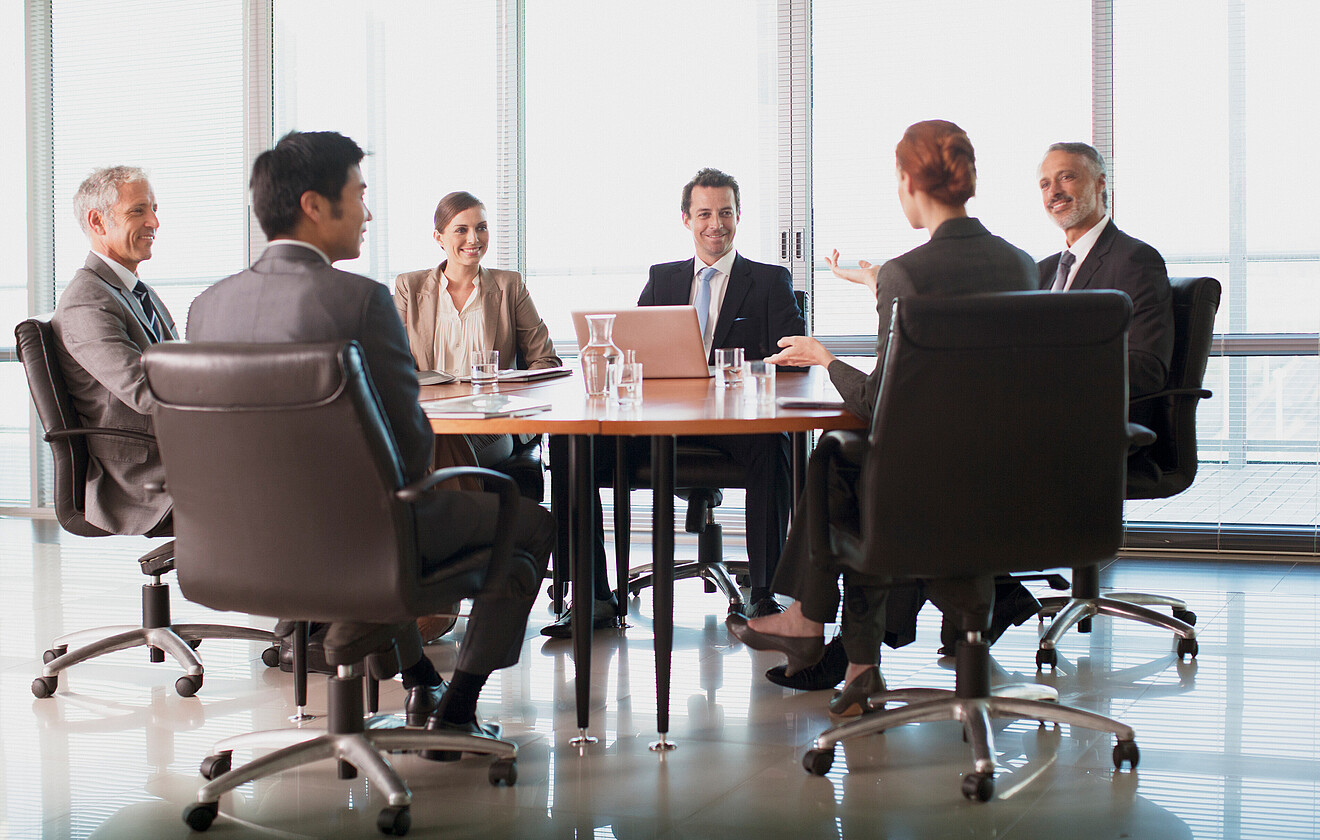 L'organe de révision