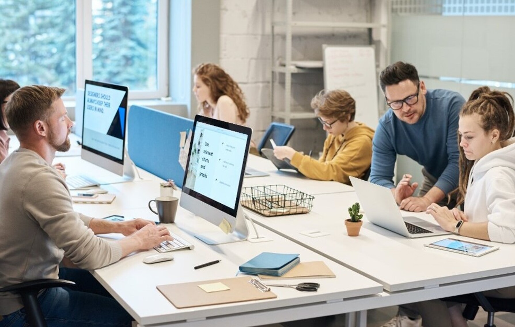 Neue Software einführen