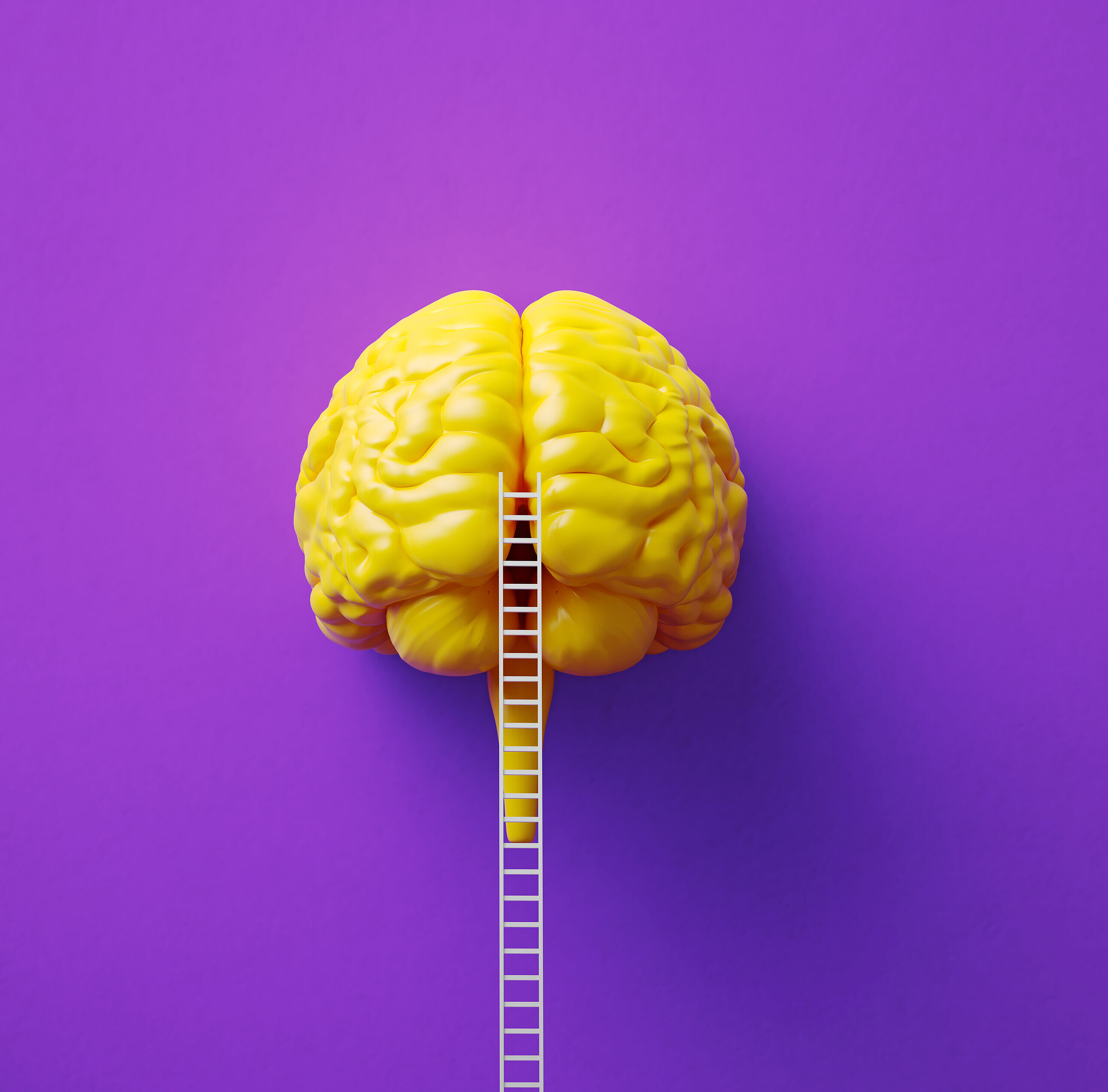 Gehirnleistung steigern