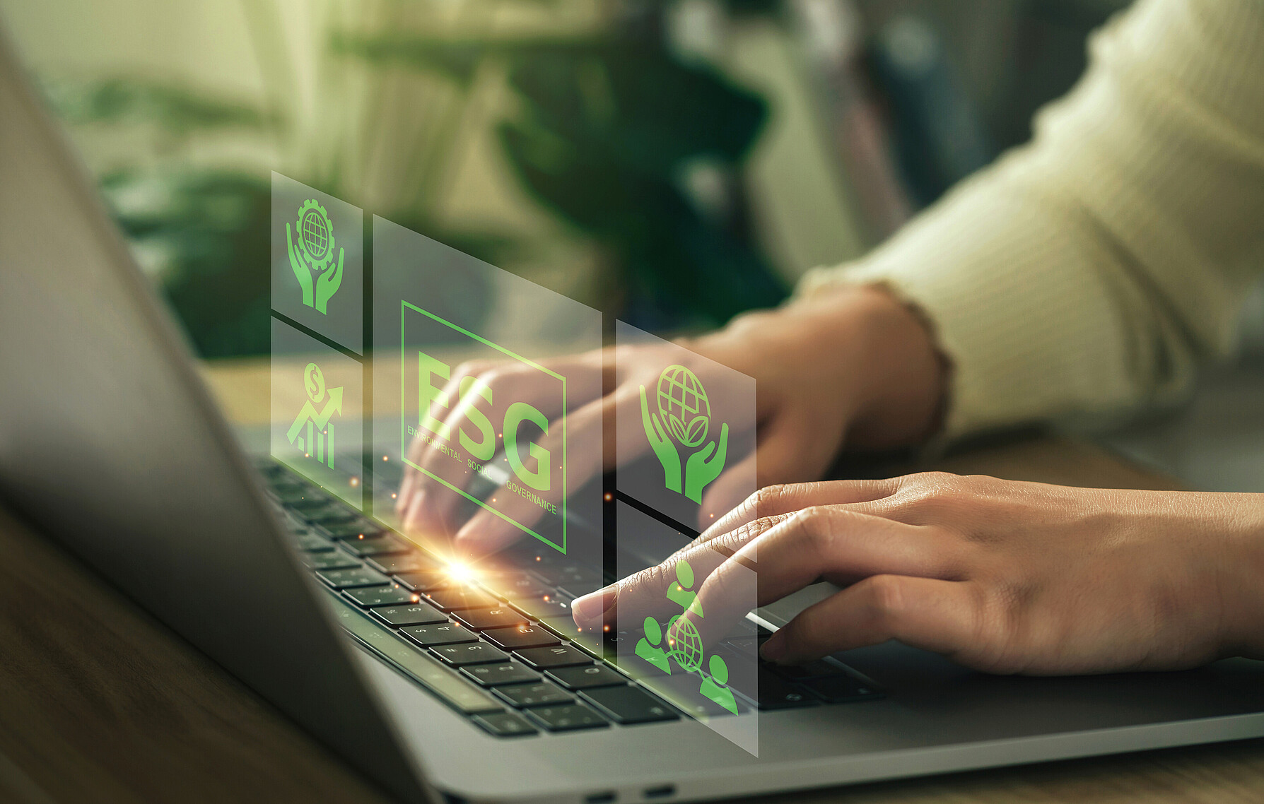 Nichtfinanzielle Berichterstattung