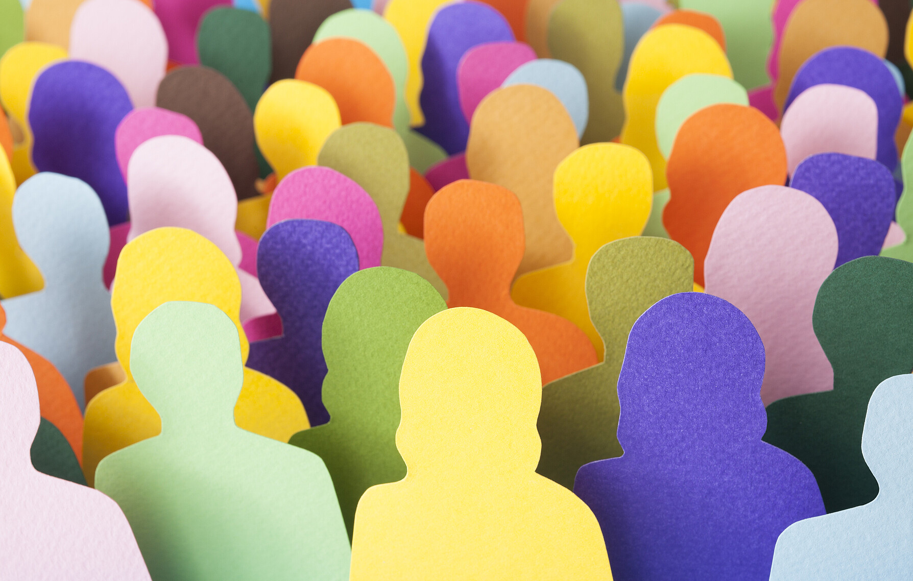 Photos des collaborateurs