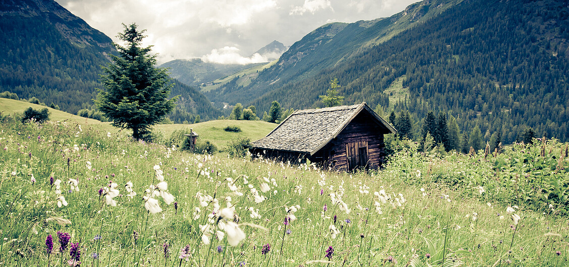 Frühjahrsmüdigkeit