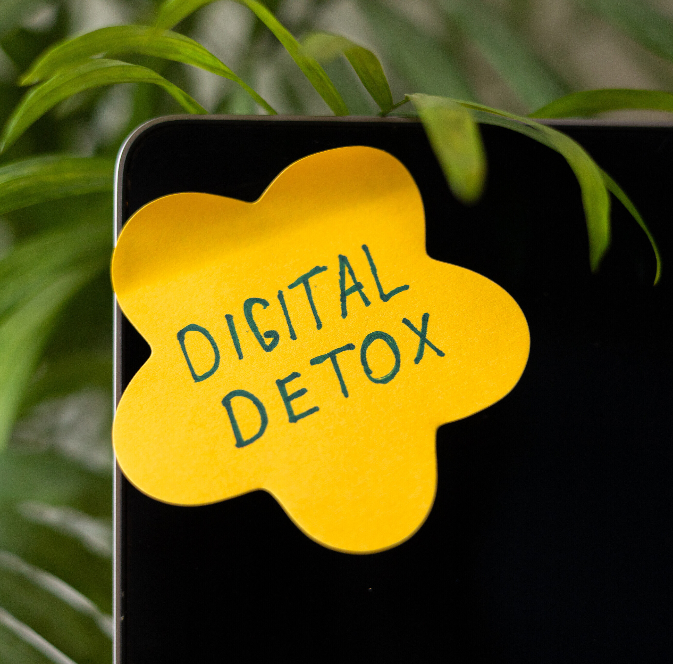 Digital Detox