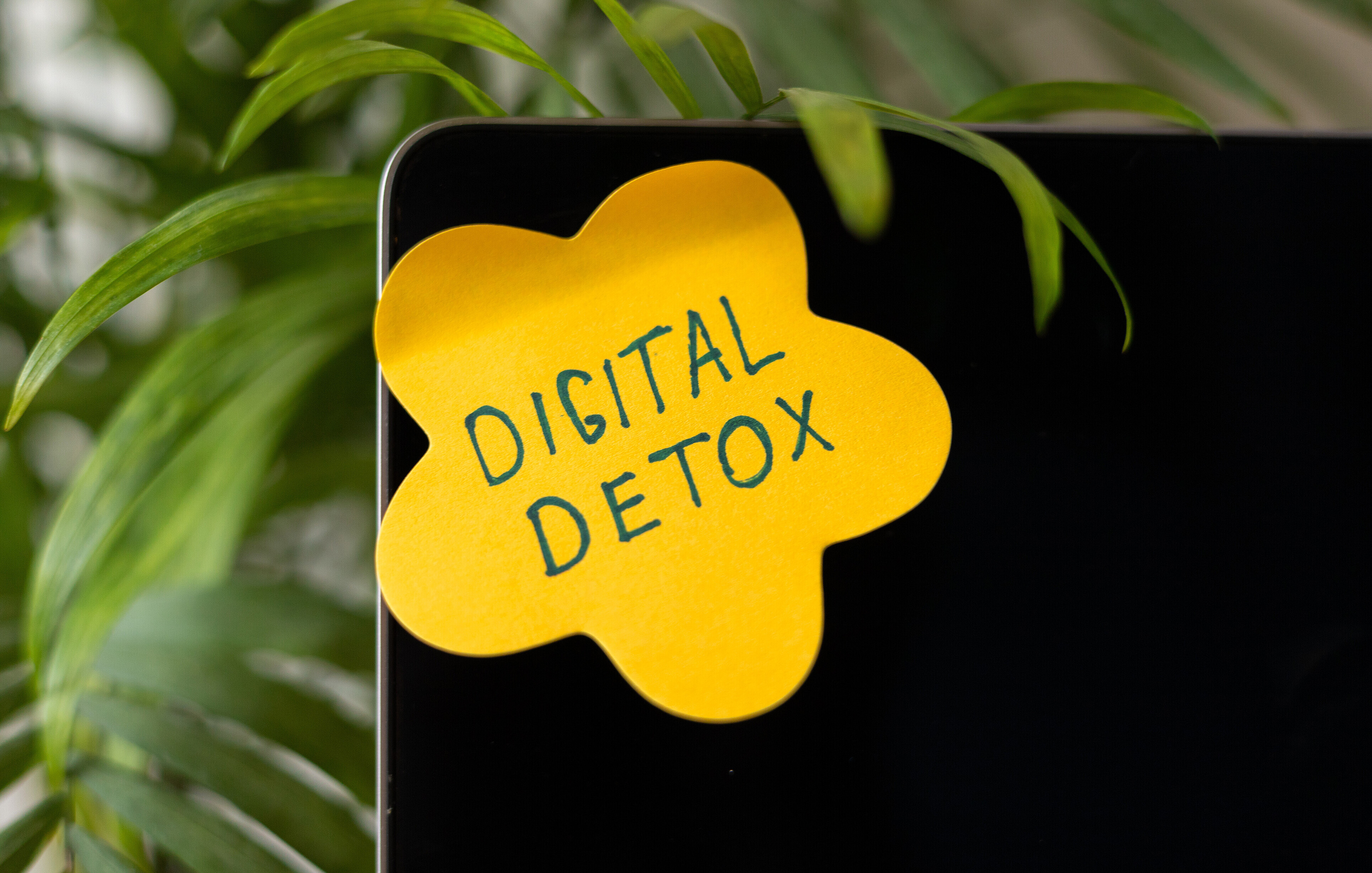 Digital Detox