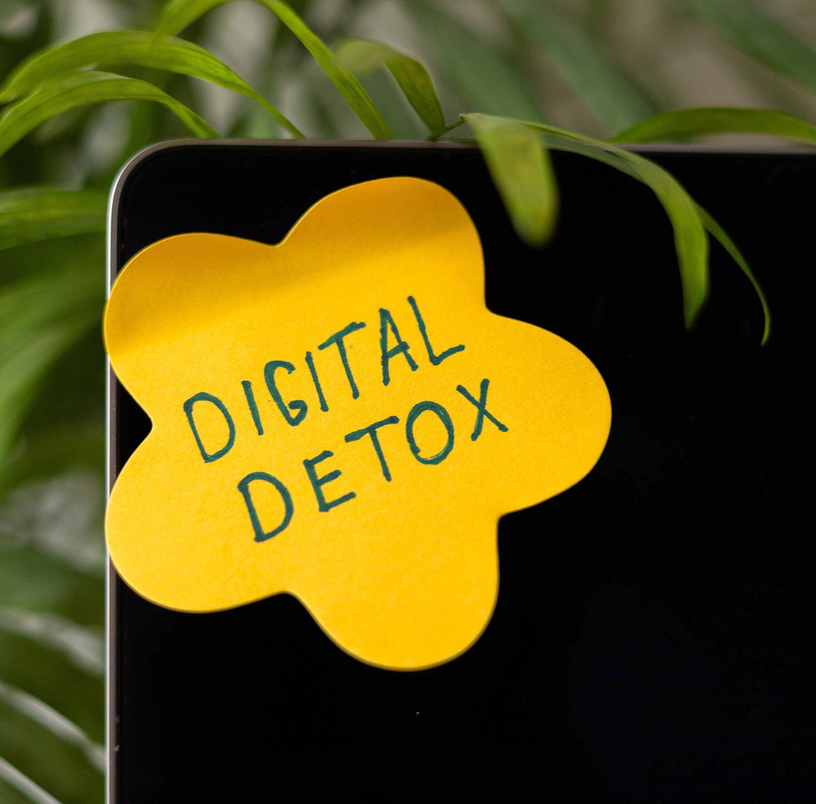 Digital detox