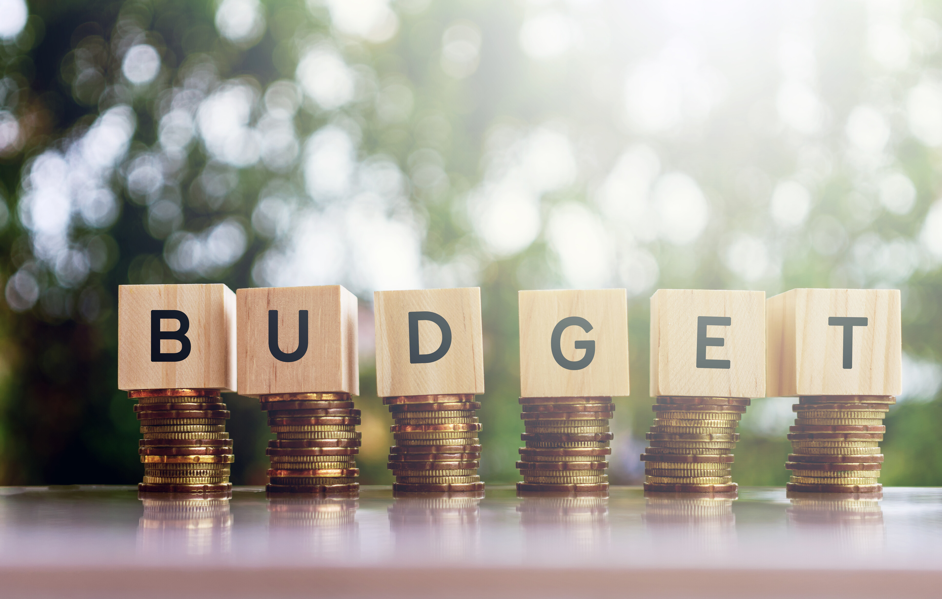 Budget