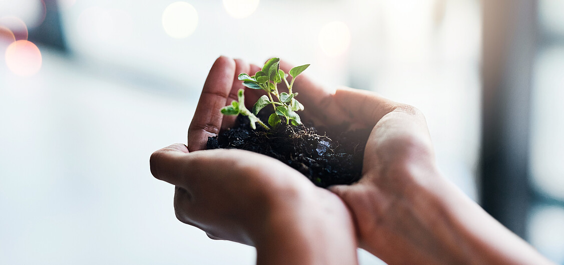 Protection contre le congé
