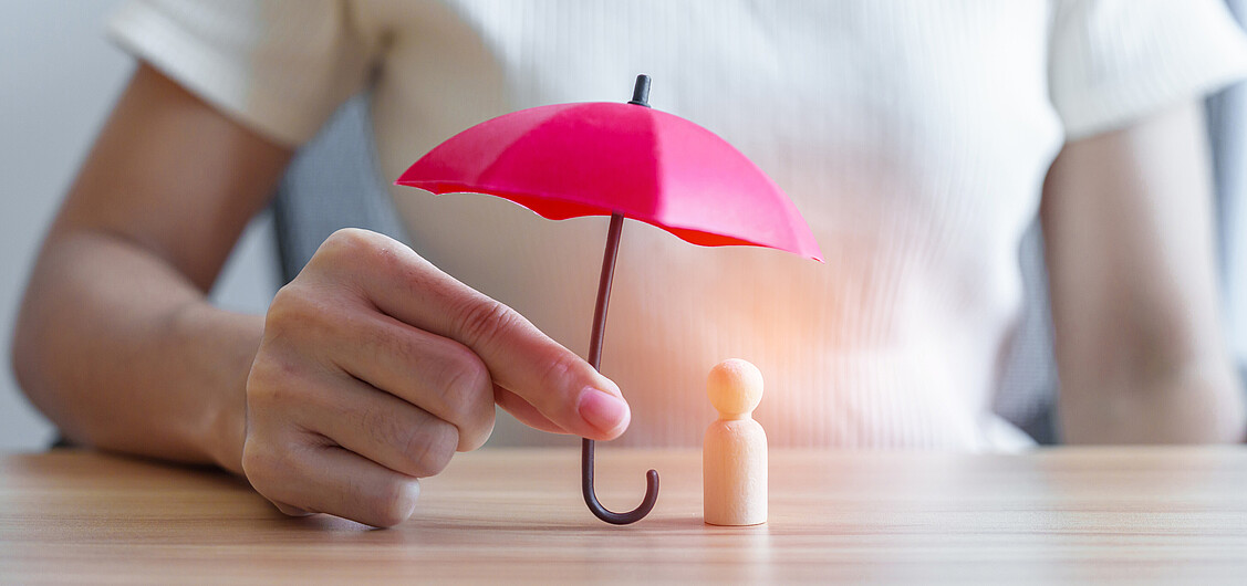 IV-Früherfassung IV-Früherfassung