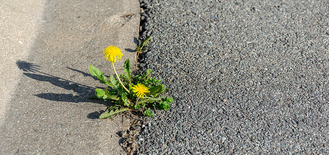 Pensée positive Pensée positive