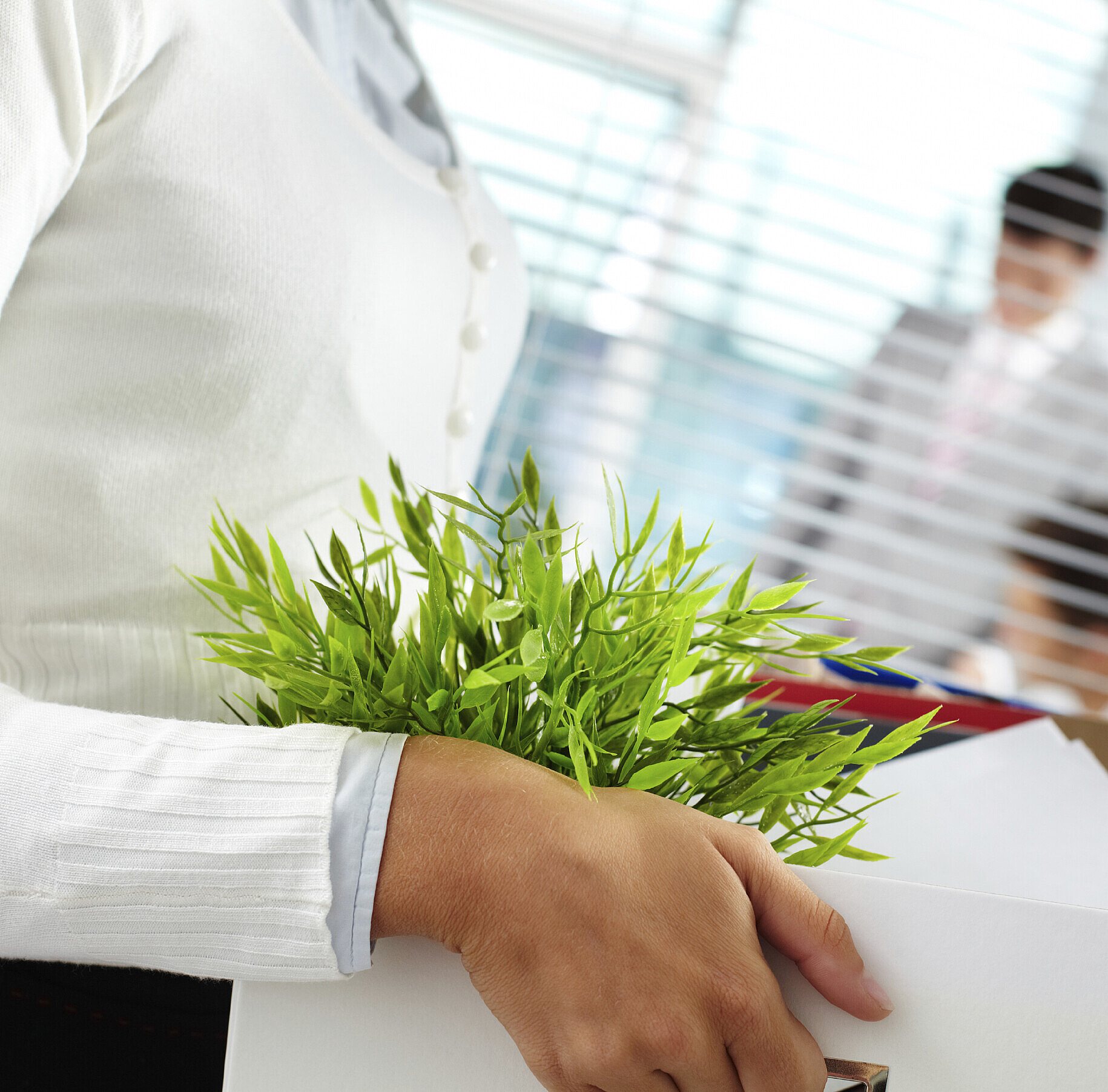 Licenciement Suisse
