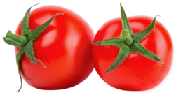 ADVICE Informatik AG