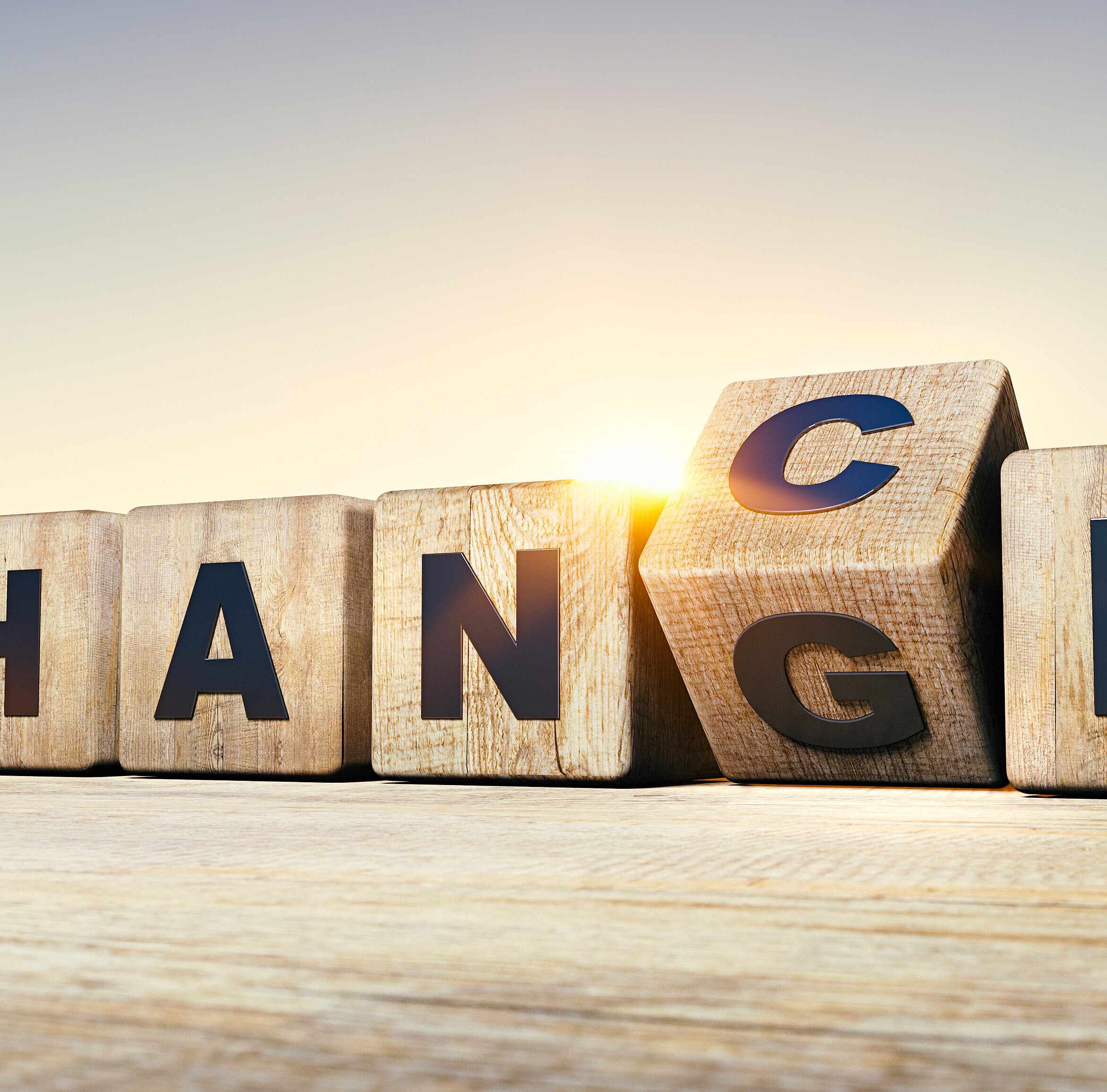 Transform Leadership