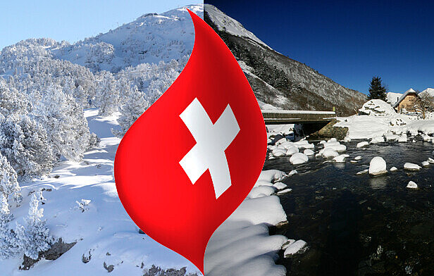 Immobilienwert