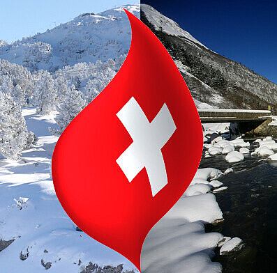 Immobilienwert