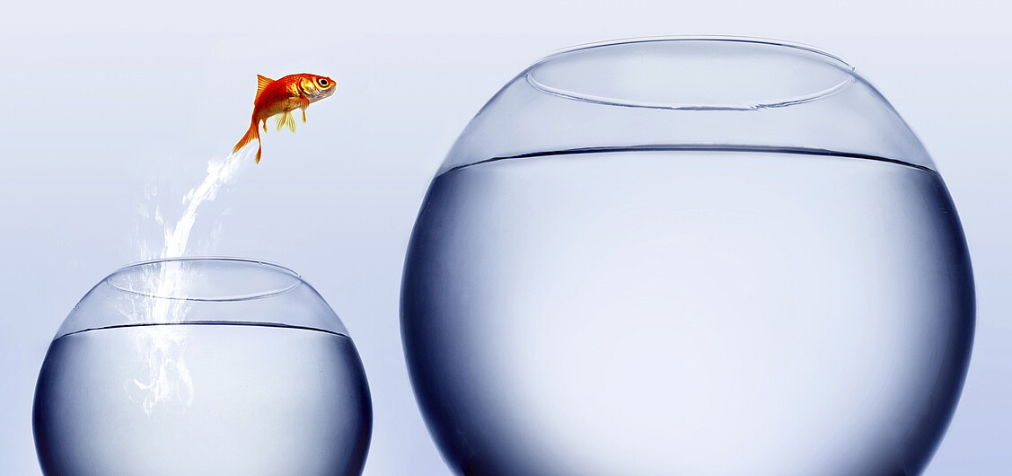 Culture de la séparation Culture de la séparation