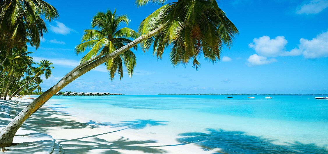 Régime de vacances Régime de vacances