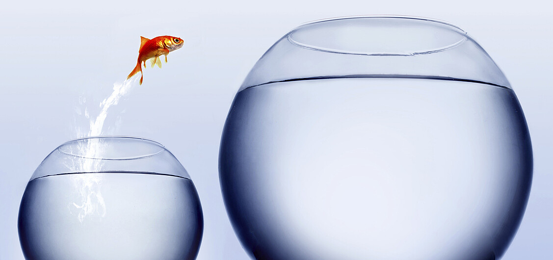 Trennungskultur Trennungskultur